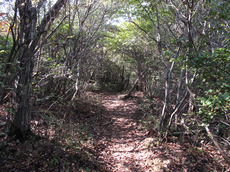 20131116hike (160)